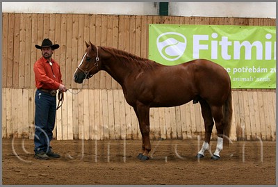 QH061_0069n.jpg (38,8 KB)