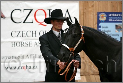 QH061_0070n.jpg (32,6 KB)