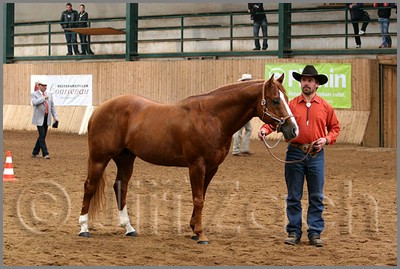 QH061_0073n.jpg (44,5 KB)