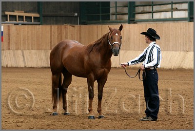 QH061_0074n.jpg (37,6 KB)