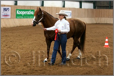 QH061_0078n.jpg (39,6 KB)