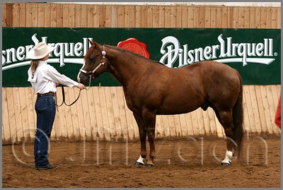 QH061_0081n.jpg (44,2 KB)