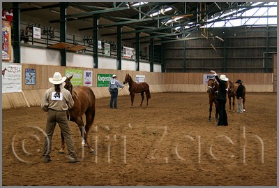 QH061_0082n.jpg (43,5 KB)