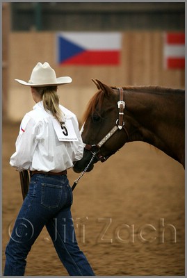 QH061_0083n.jpg (27,0 KB)