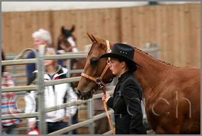 QH061_0085n.jpg (30,7 KB)
