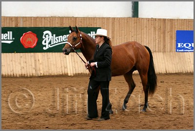 QH061_0087n.jpg (38,2 KB)