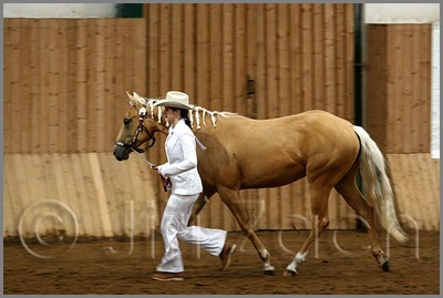 QH061_0089n.jpg (32,8 KB)