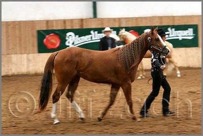 QH061_0090n.jpg (34,7 KB)