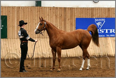 QH061_0091n.jpg (43,2 KB)