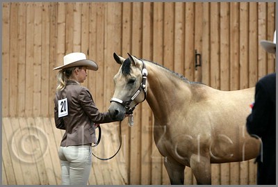 QH061_0092n.jpg (33,1 KB)