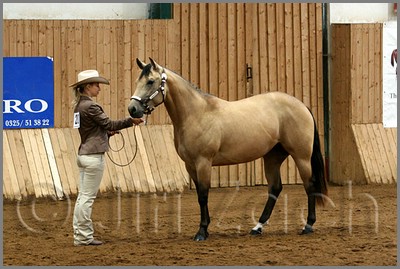 QH061_0093n.jpg (42,9 KB)