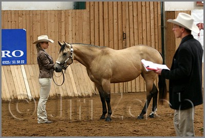 QH061_0094n.jpg (40,6 KB)