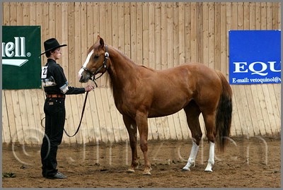 QH061_0095n.jpg (41,7 KB)