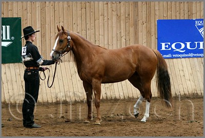 QH061_0096n.jpg (43,1 KB)