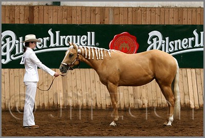 QH061_0097n.jpg (43,9 KB)