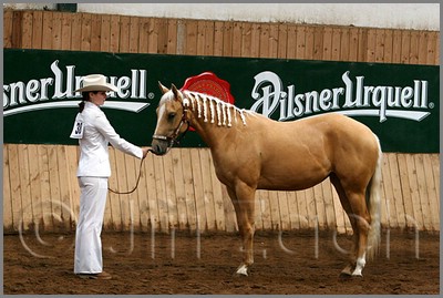 QH061_0098n.jpg (42,7 KB)