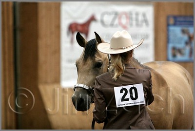 QH061_0099n.jpg (27,9 KB)