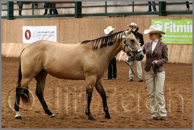 QH061_0100n.jpg (43,2 KB)
