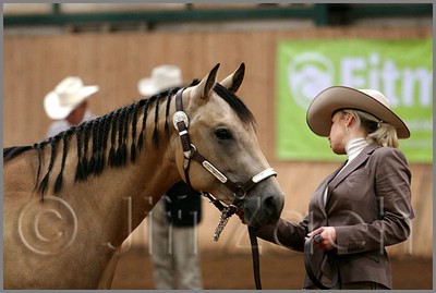 QH061_0101n.jpg (31,8 KB)