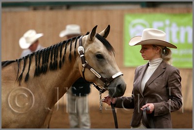 QH061_0102n.jpg (32,0 KB)