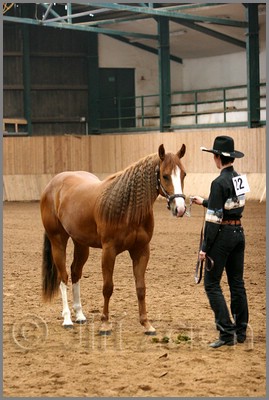 QH061_0104n.jpg (39,5 KB)
