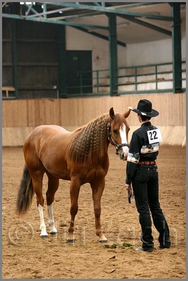 QH061_0105n.jpg (38,9 KB)