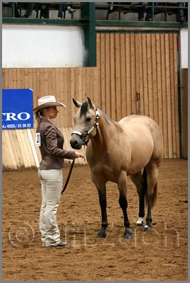 QH061_0108n.jpg (40,7 KB)