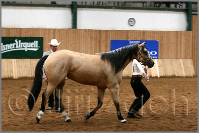 QH061_0121n.jpg (36,7 KB)