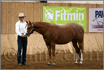 QH061_0125n.jpg (40,0 KB)