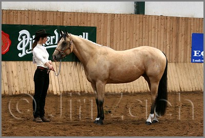 QH061_0126n.jpg (40,8 KB)