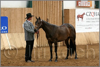 QH061_0127n.jpg (41,8 KB)