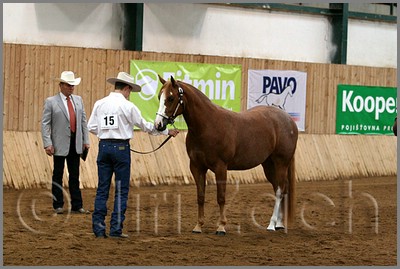 QH061_0129n.jpg (40,4 KB)