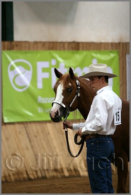 QH061_0130n.jpg (28,6 KB)