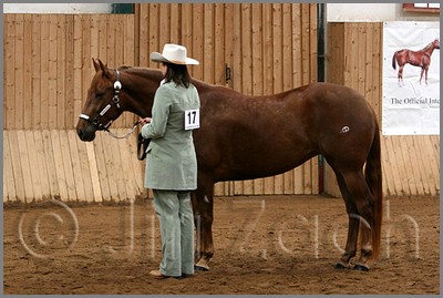 QH061_0131n.jpg (40,0 KB)