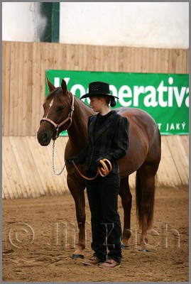 QH061_0132n.jpg (34,9 KB)