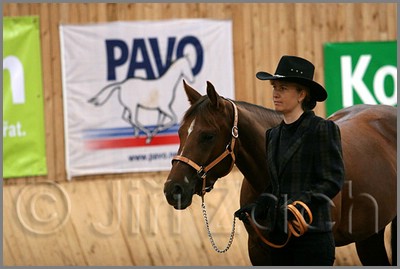 QH061_0134n.jpg (31,5 KB)