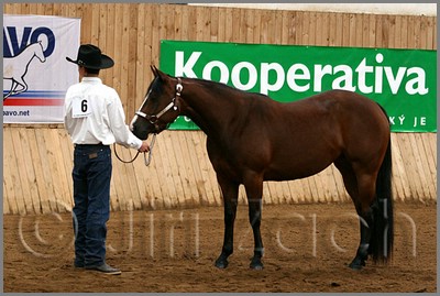 QH061_0136n.jpg (42,7 KB)
