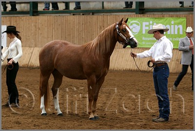 QH061_0138n.jpg (40,6 KB)