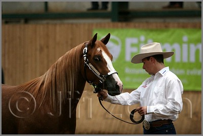 QH061_0139n.jpg (29,4 KB)