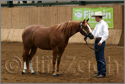 QH061_0140n.jpg (38,9 KB)