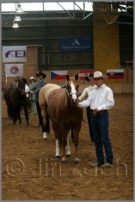 QH061_0141n.jpg (37,5 KB)