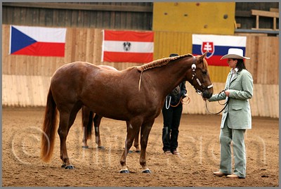 QH061_0145n.jpg (40,9 KB)