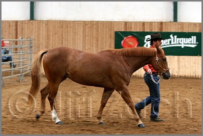QH061_0151n.jpg (36,0 KB)