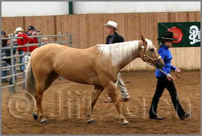 QH061_0152n.jpg (38,1 KB)