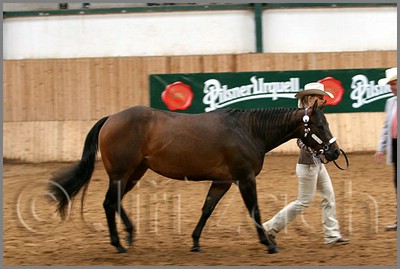 QH061_0153n.jpg (35,2 KB)