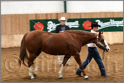 QH061_0154n.jpg (34,3 KB)