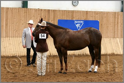 QH061_0155n.jpg (40,7 KB)