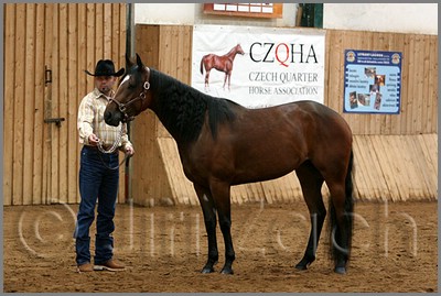QH061_0157n.jpg (42,5 KB)