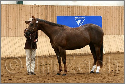 QH061_0158n.jpg (41,3 KB)