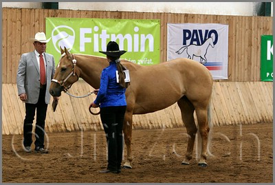QH061_0159n.jpg (42,8 KB)